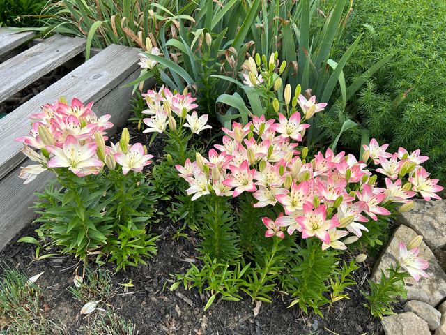 6875 Central College Road, New Albany, OH 43054