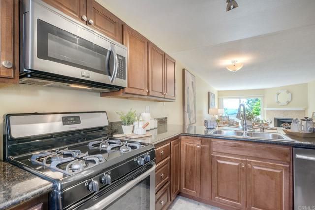 220 S Shorehang Lane, Encinitas, CA 92024