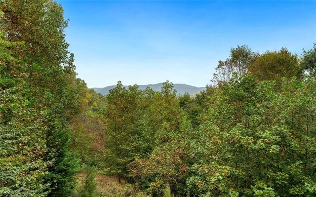 260 Mountain High Drive, Mineral Bluff, GA 30559