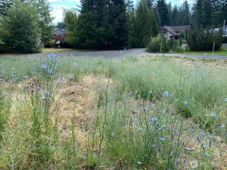 7 lot Kuhuku Court, Cle Elum, WA 98922
