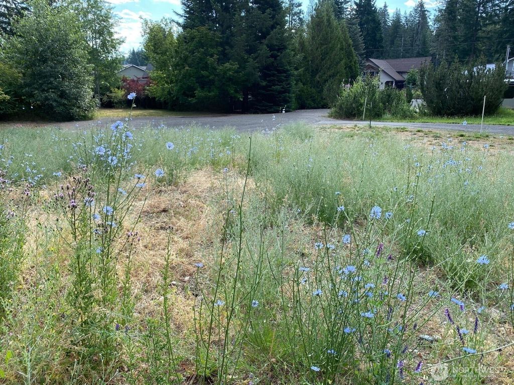 7 lot Kuhuku Court, Cle Elum, WA 98922
