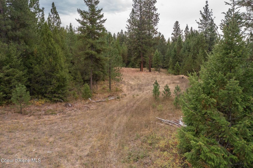 NKA-292 Ac Highway 2, Moyie Springs, ID 83845 photo 20