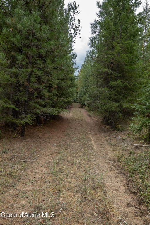 NKA-292 Ac Highway 2, Moyie Springs, ID 83845 photo 24