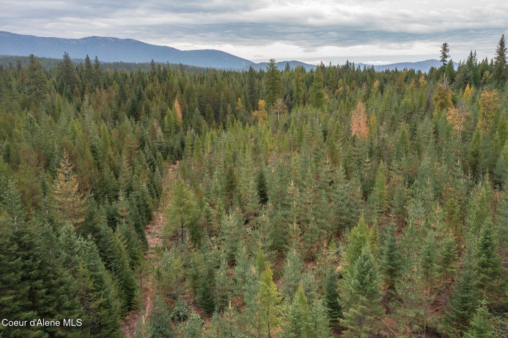 NKA-292 Ac Highway 2, Moyie Springs, ID 83845 photo 29