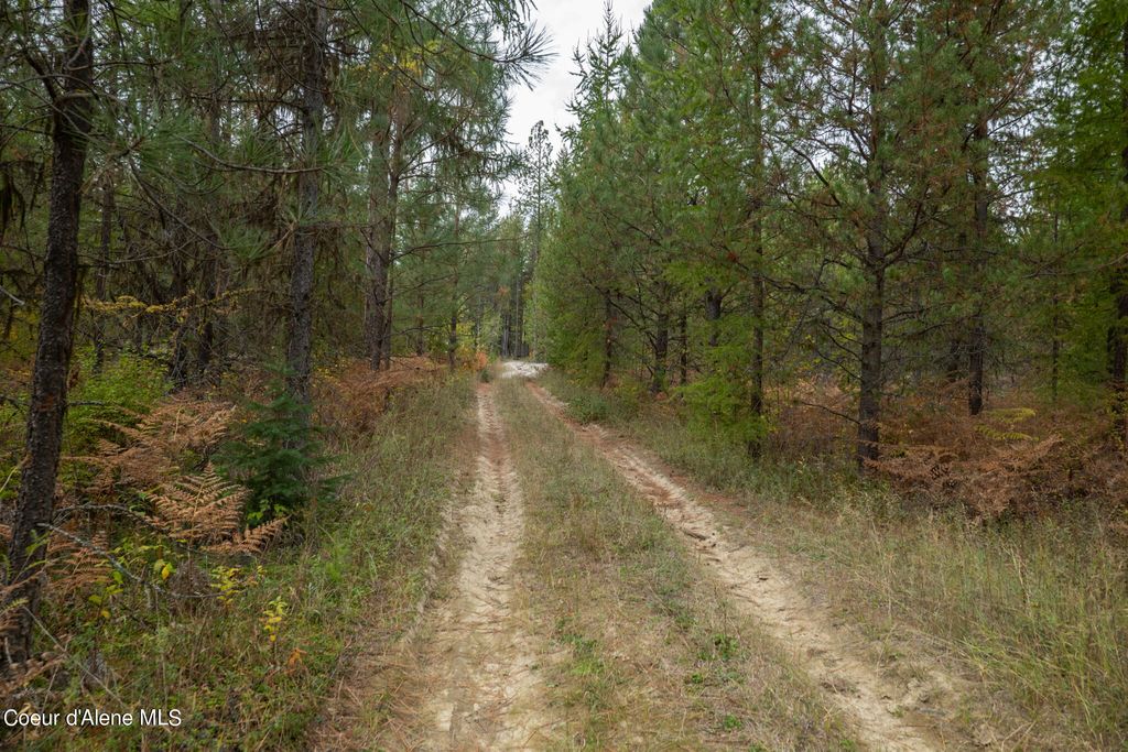 NKA-292 Ac Highway 2, Moyie Springs, ID 83845 photo 47