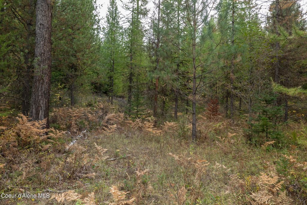 NKA-292 Ac Highway 2, Moyie Springs, ID 83845 photo 49