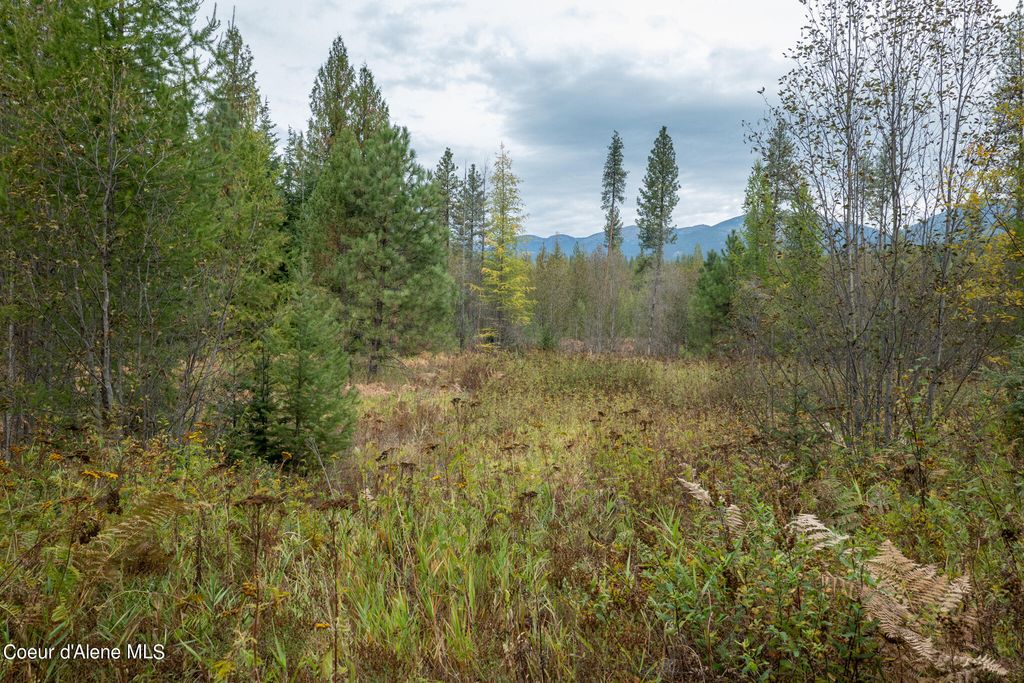 NKA-292 Ac Highway 2, Moyie Springs, ID 83845 photo 50