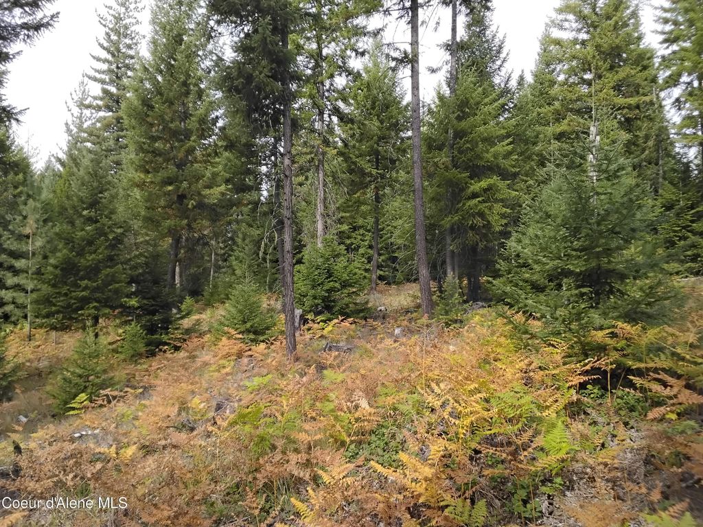 NKA-292 Ac Highway 2, Moyie Springs, ID 83845 photo 64