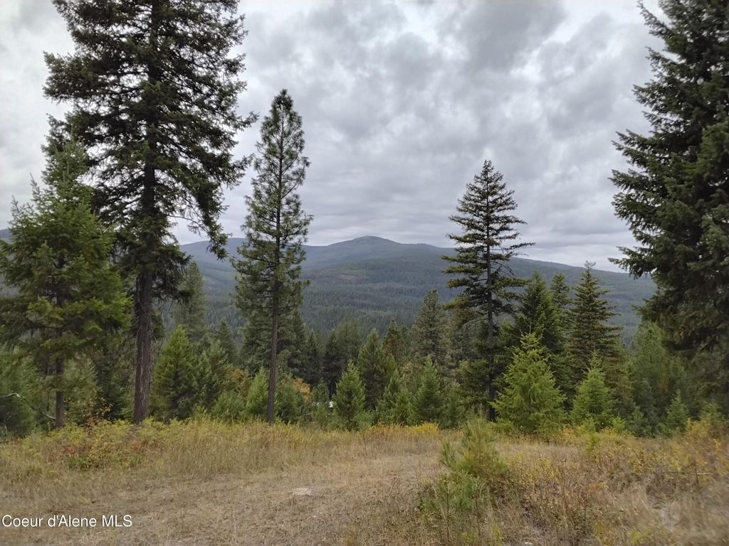 NKA-292 Ac Highway 2, Moyie Springs, ID 83845 photo 65