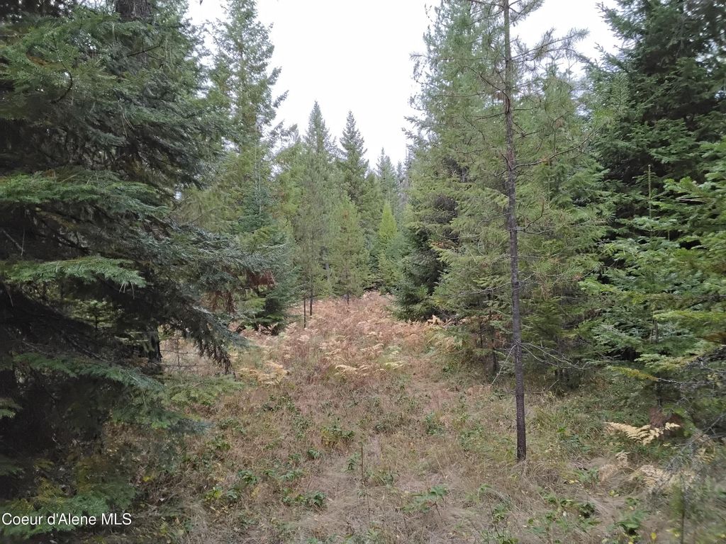 NKA-292 Ac Highway 2, Moyie Springs, ID 83845 photo 66