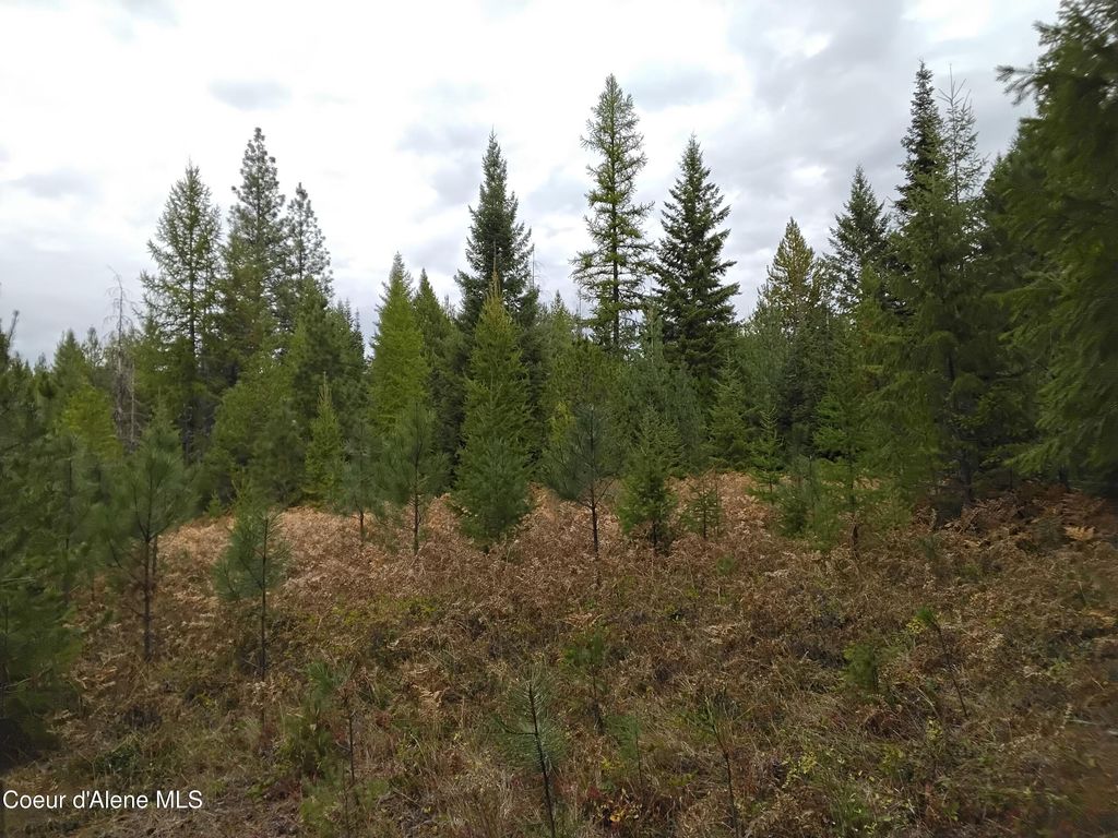 NKA-292 Ac Highway 2, Moyie Springs, ID 83845 photo 67