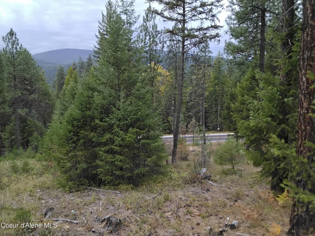 NKA-292 Ac Highway 2, Moyie Springs, ID 83845 photo 72