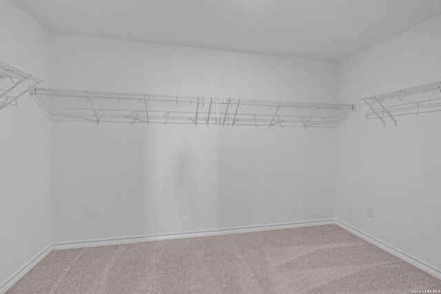 443 White Heron Way, Marion, TX 78124