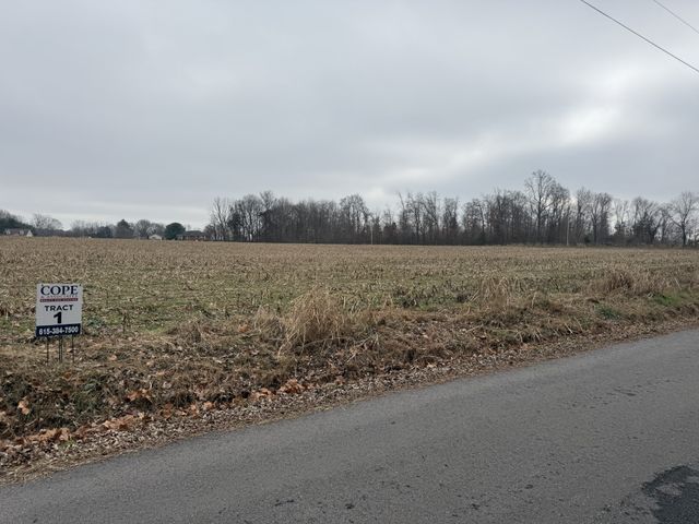 0 Beards Chapel Road, Springfield, TN 37172