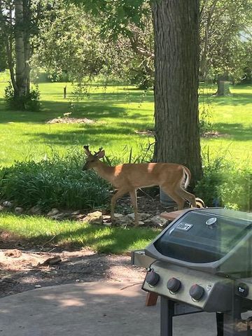 4528 N county M Road, Evansville, WI 53536