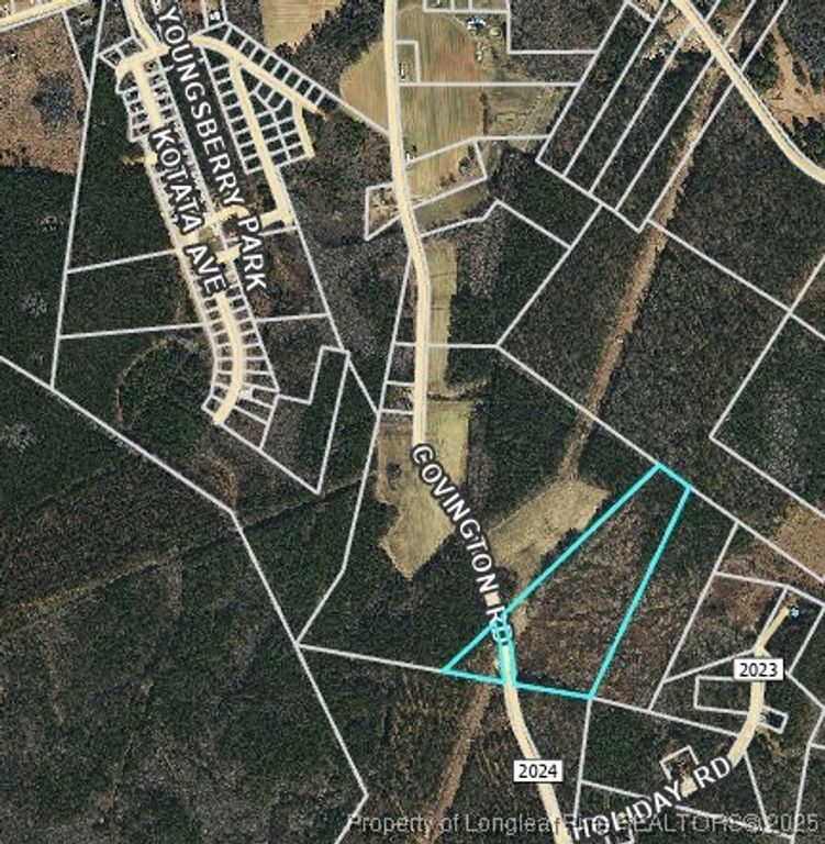 0000 Covington Road, Bunnlevel, NC 28323 — photo 4
