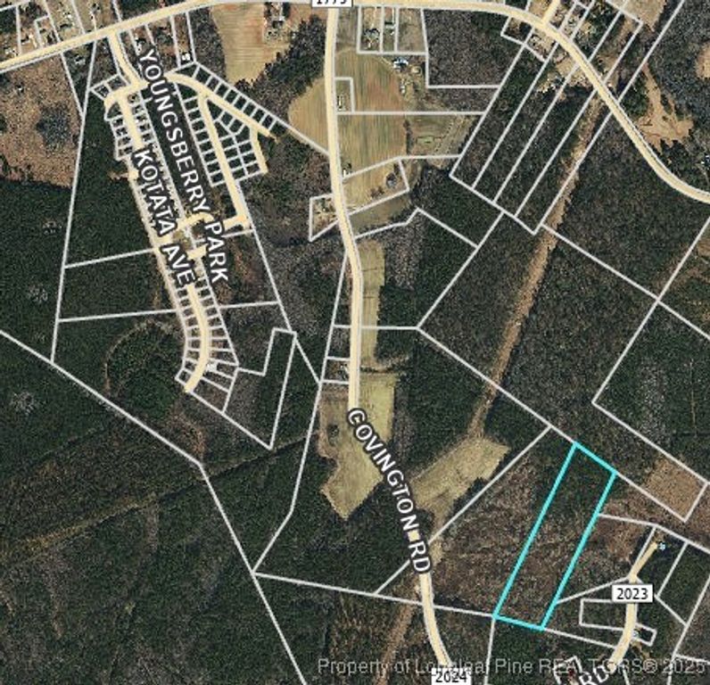0000 Covington Road, Bunnlevel, NC 28323 — photo 5