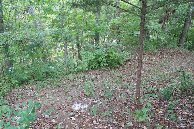 3288 State Hwy 1003, Somerset, KY 42501