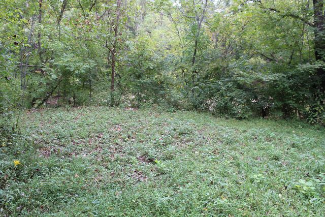 3288 State Hwy 1003, Somerset, KY 42501