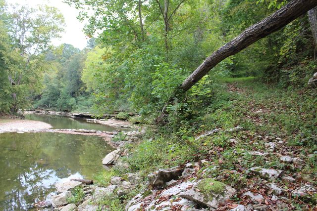 3288 State Hwy 1003, Somerset, KY 42501