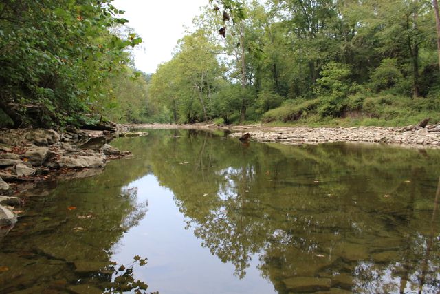 3288 State Hwy 1003, Somerset, KY 42501