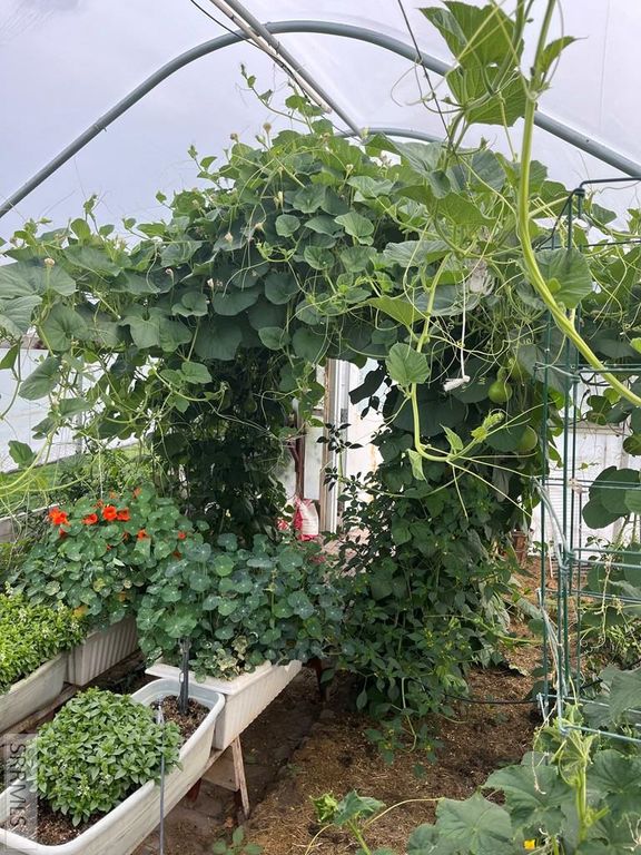 Image 50 of property listing at 41 N 2nd E, Soda Springs, ID 83276