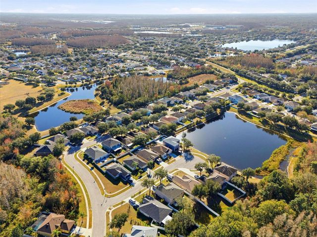 3250 HELMEL COURT, Land O Lakes, FL 34638