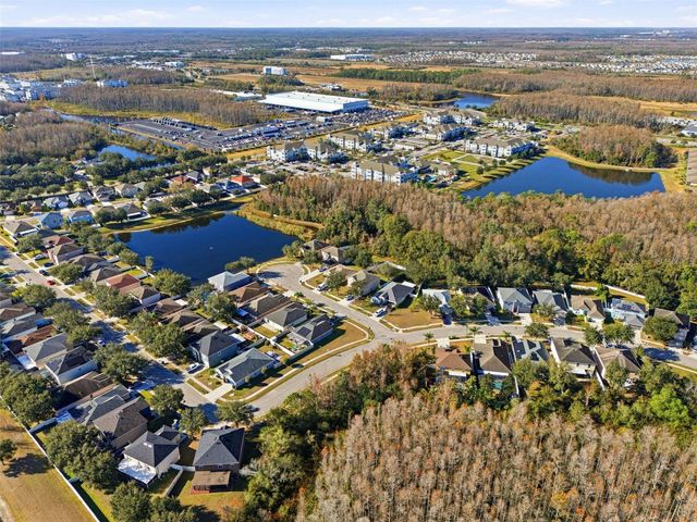 3250 HELMEL COURT, Land O Lakes, FL 34638