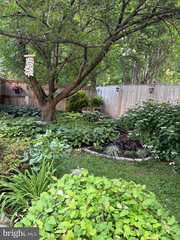 4206 10TH ST NE, Washington, DC 20017