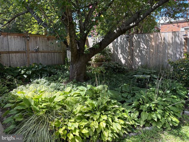 4206 10TH ST NE, Washington, DC 20017