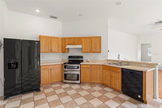 22118 YACHTCLUB TERRACE, Land O Lakes, FL 34639