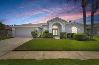 22118 YACHTCLUB TERRACE, Land O Lakes, FL 34639