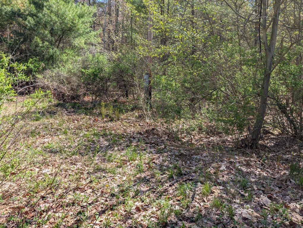 35 McAllister Road, Otisfield, ME 04270 — photo 4