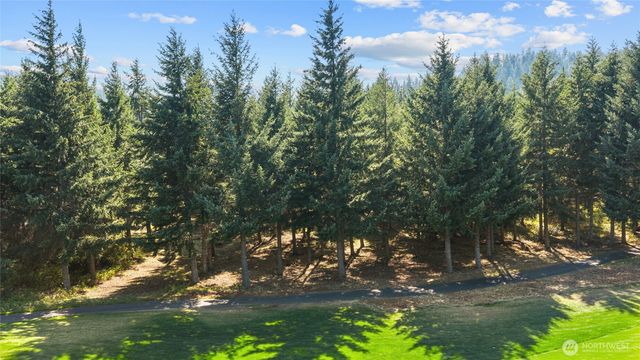 51 Big Bug Lane, Cle Elum, WA 98922