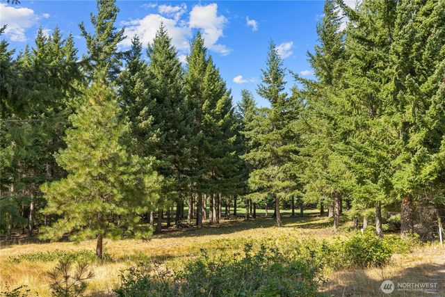 51 Big Bug Lane, Cle Elum, WA 98922