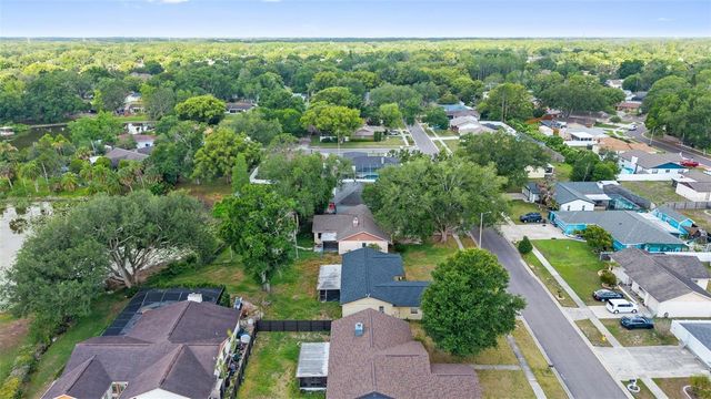 17635 MEADOWBRIDGE DRIVE, Lutz, FL 33549
