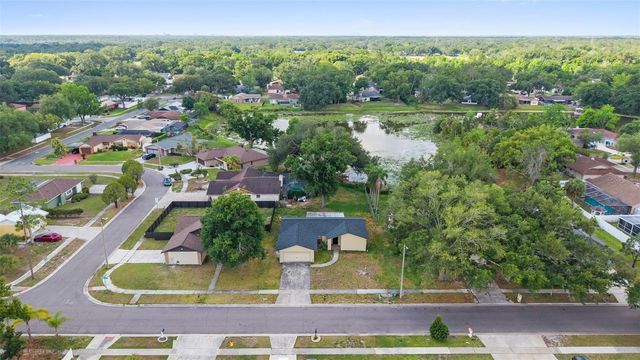 17635 MEADOWBRIDGE DRIVE, Lutz, FL 33549