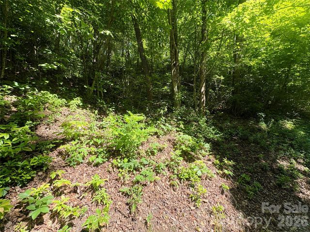 0 Middle Ridge 38, Whittier, NC 28789