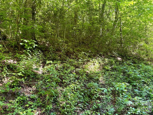 0 Middle Ridge 38, Whittier, NC 28789
