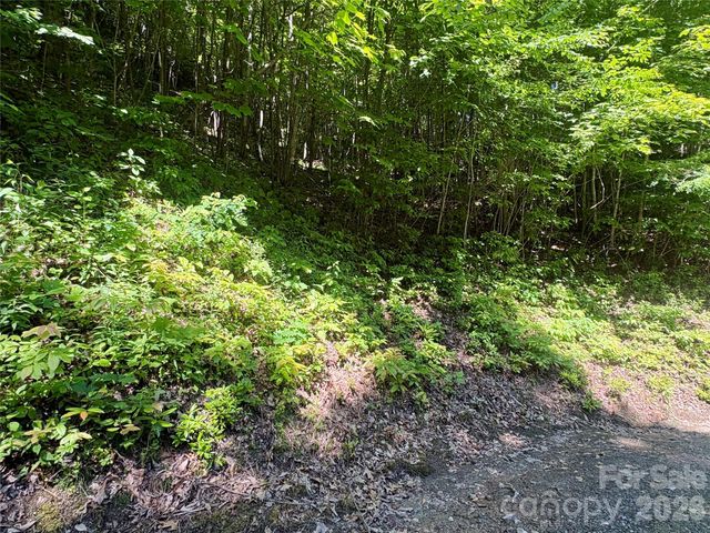 0 Middle Ridge 38, Whittier, NC 28789