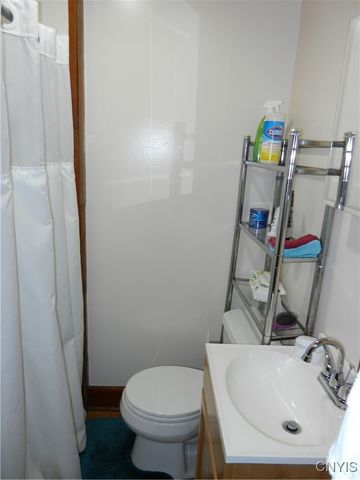 17 Summit Avenue, Little Falls City, NY 13365