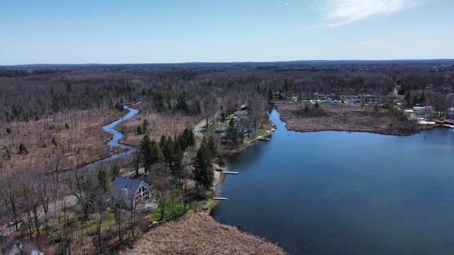 9673 Lake Drive, Morton Twp, MI 49332