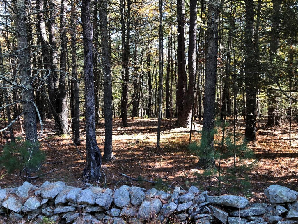 Lot 1 Van Tuyl Road, Barryville, NY 12719