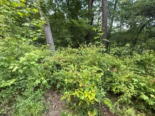 0 Morrison Lane, Ringgold, GA 30736