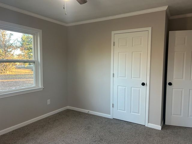 6486 & 6500 Gene Terry Rd, Cottonwood, AL 36320