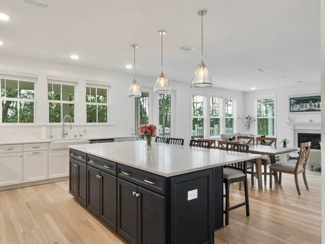 2276 Minifarm Way, Mount Pleasant, SC 29466