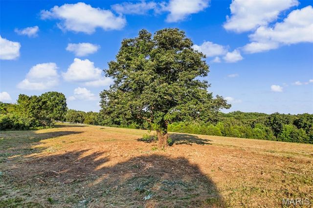 12621 Hyfield Road, De Soto, MO 63020