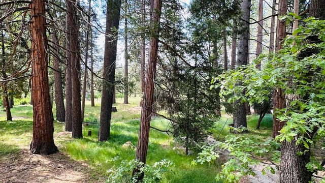 53341 Sherman Drive, Idyllwild, CA 92549