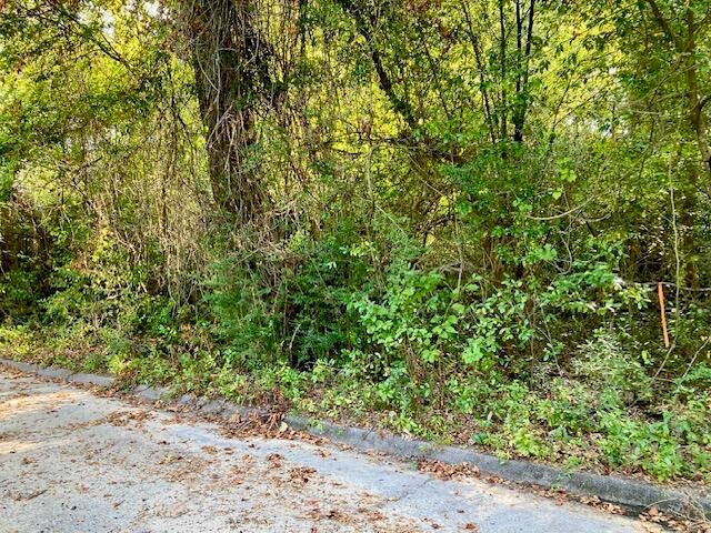 .47ac. Jordan Street, Defuniak Springs, FL 32433