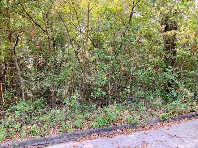 .47ac. Jordan Street, Defuniak Springs, FL 32433